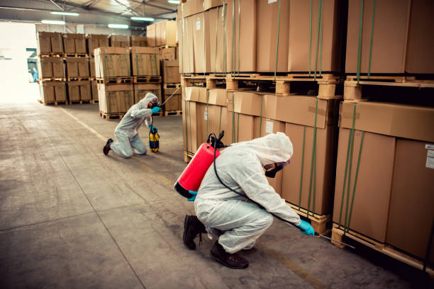 Best Best Pest Control Companies  in New Haven, WV