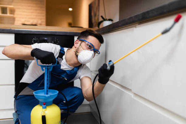 Best Affordable Pest Control Services  in New Haven, WV